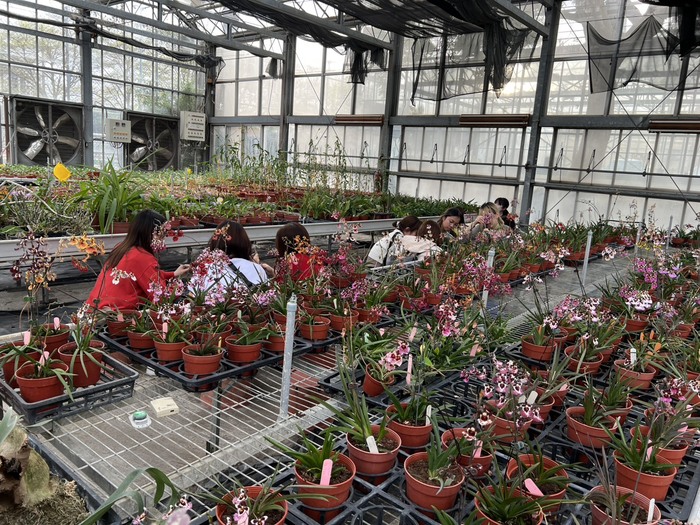 2026.3.4日本筑波大學、名古屋大學、東京農業大學學生實習課圖片