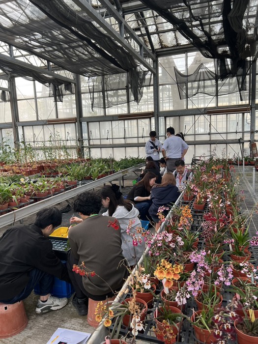 2026.3.4日本筑波大學、名古屋大學、東京農業大學學生實習課圖片